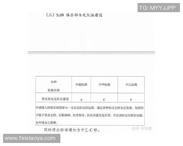 女足球星年收入差距引关注商业价值与薪资待遇对比分析 女足球星年收入差距引关注商业价值与薪资待遇对比分析